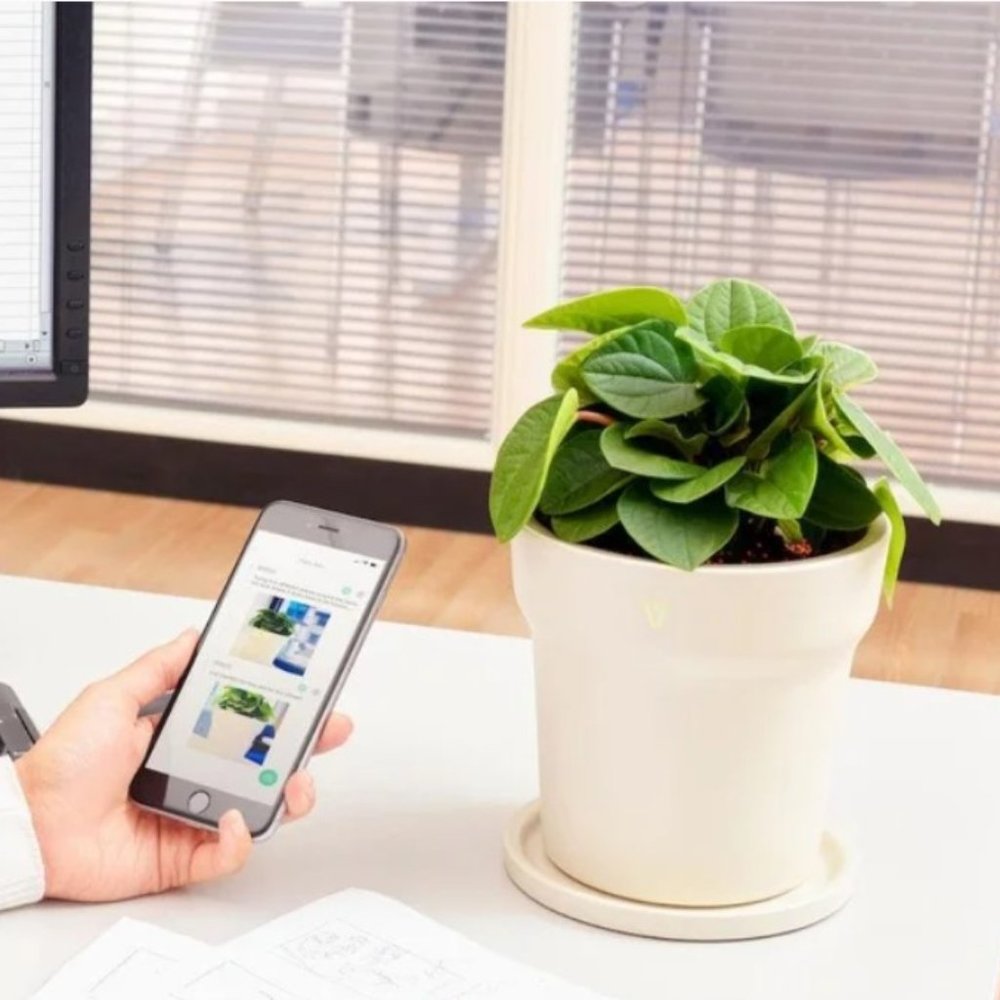 VegTrug Grow Care Pot - Smart Technology Planter